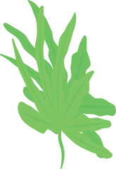 Leaf alga icon isometric vector. Marine plant. Aquatic coral