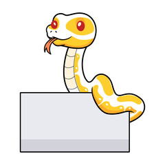 Fototapeta premium Cute albino ball python snake cartoon with blank sign