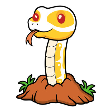 Cute albino ball python snake cartoon out from hole