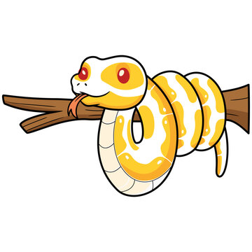 Cute albino ball python snake cartoon on tree branch