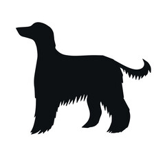 Vector hand drawn Afghan hound dog silhouette isolated on white background
