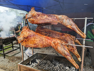 Three goats are being roasted at a wedding.