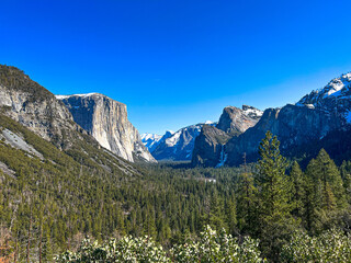 Yosemite National Park