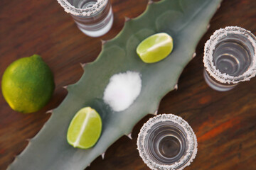 Fototapeta na wymiar Mexican tequila shots, salt, lime and green leaf on wooden table, flat lay. Drink made of agava