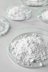 Fototapeta na wymiar Many petri dishes with calcium carbonate powder on white table