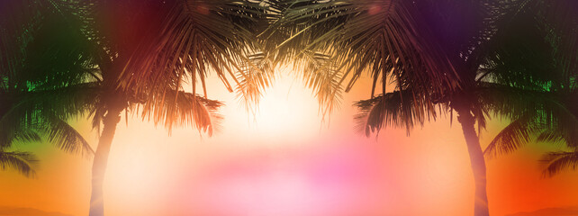 Blurred breathtaking sunset scenery. Coconut palm tree under orange  sky. Vintage background....