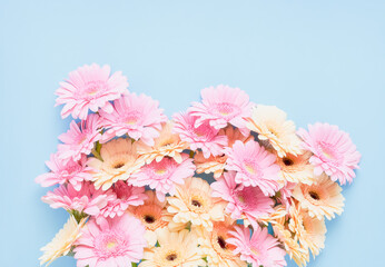 Pink and yellow gerberas on a light blue background. Greeting card, copy space