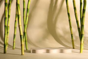 Green bamboo stems and plaster podiums on beige background