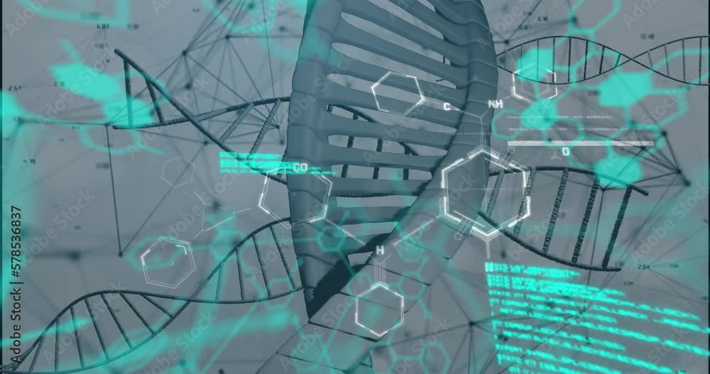 Poster animation of data processing, dna and chemical structures floating against grey background