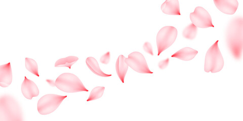 Obraz na płótnie Canvas Flying sakura petals, vector pink flowers of japan cherry blossom falling down. Romantic spring floral background with sakura bloom, rose or peach flower petals flying, wedding or Valentine Day themes