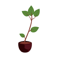 long plant design