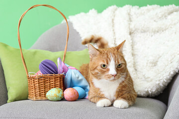 Fototapeta na wymiar Cute cat and basket with Easter eggs on armchair near green wall, closeup