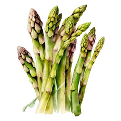 Vibrant Watercolor Asparagus Painting. Generative AI