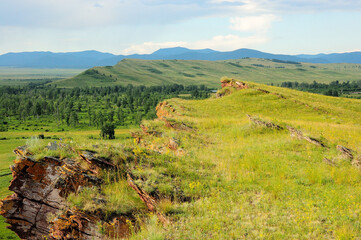 Obraz premium A view from the top of a rocky hill to a picturesque valley with a birch forest at the foot of a mountain range on a warm summer day.