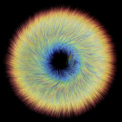 colorful abstract hair circle eye