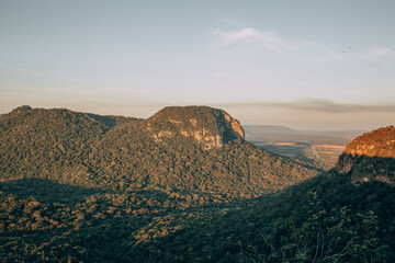 Montes paraguayos en el interior del paraguay