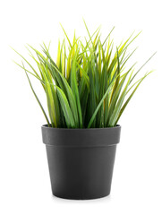 Artificial grass in pot on white background