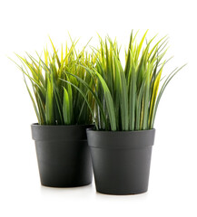 Artificial grass in pots on white background