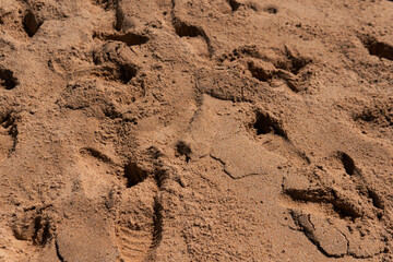 Brown sand at the beach with sunny day in Australia 