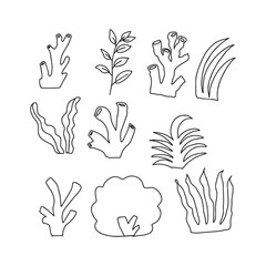 Set of coral reef ocean life doodles element