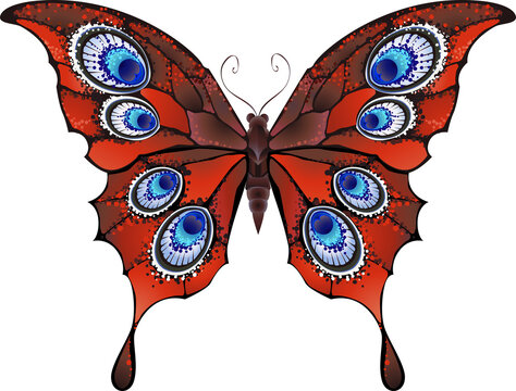 Bright Exotic Butterfly