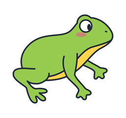 frog amphibian animal character