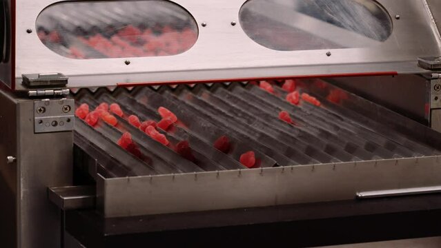 Red gummy candy vitamin supplements moving down chutes - automation process