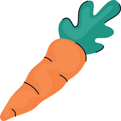 fresh carrot vegetable