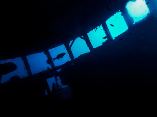 Wheelhouse of the wreck of the Mr. Bud in the Carribbean Sea, Roatan, Honduras © Erin Westgate