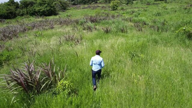 Follow me drone footage using AI of men verifying and avocate crop