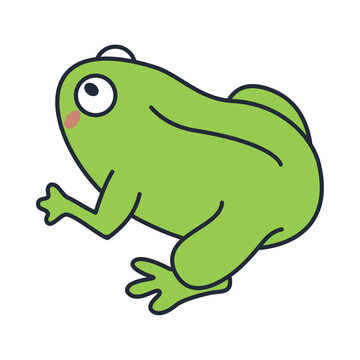 frog amphibian back character