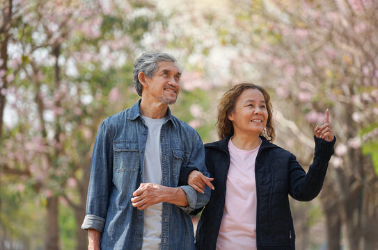 portrait romantic asian senior couple walking,talking in nature and seeing the flowers on springtime, concept for elderly lifestyle,relaxing,well being,elderly health benefits in nature
