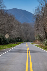 Fototapeta premium road, highway, mountain, landscape, travel, sky, nature, way, curve, tree, forest, country, drive, driving, street, line, transportation, rural, trees, summer, car, mountain, perspective, empty, horiz
