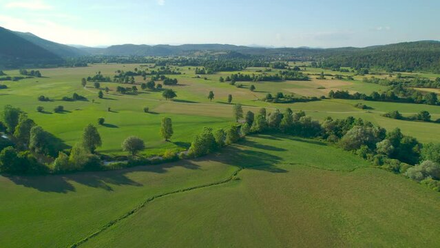 AERIAL: Beautiful green fields with meandering river surrounded by forested hills. Breath-taking view of scenic Planinsko Polje with winding river Unica in summer, a classic example of a karst field.
