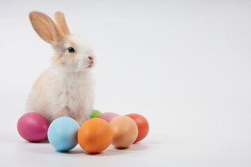 young baby rabbit with easter eggs on white background