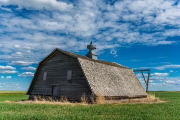 Obraz premium An abandoned barn surrounded by a wheat field on the Canadian prairies in Saskatchewan