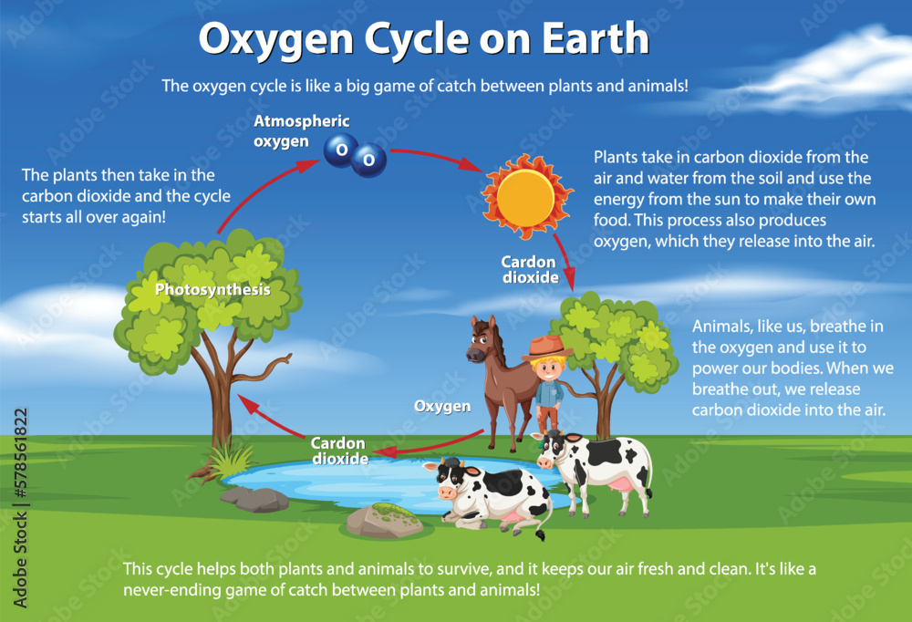 Wall mural Oxygen Cycle on Earth Diagram