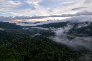 Aerial view of mist, cloud and fog hanging over a lush tropical rainforest after a storm