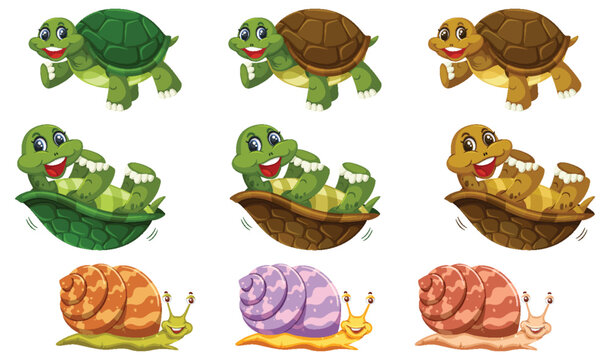 Set of turtle and snail cartoon character