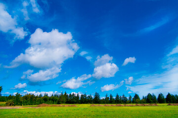 北欧の雄大な青空