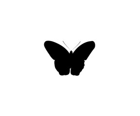 Real butterfly vector tracing with black color.