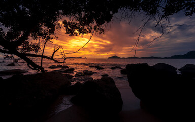 Dramatic sunset at beach with a tree and rocks