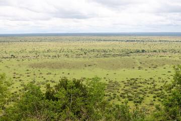 Fototapeta na wymiar Landscape showing the vastness of Kruger Park from Nkumbe view site
