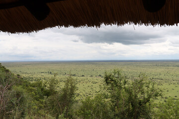Kruger National Park, South Africa: landscape showing the vastness of Kruger Park  from Nkumbe view site - obrazy, fototapety, plakaty