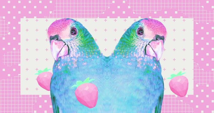 Modern loop collage animation. Funny Parrots and creative motion design