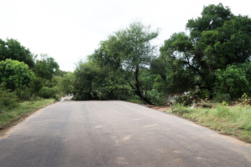 Fototapeta na wymiar Kruger National Park, South Africa: flood damage to the roads infrastructure. The parks workers were within a few days working on repairs