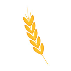golden wheat spike