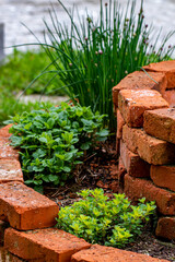Brick circle for herbal garden	