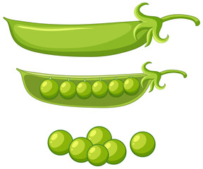Green peas in a pod