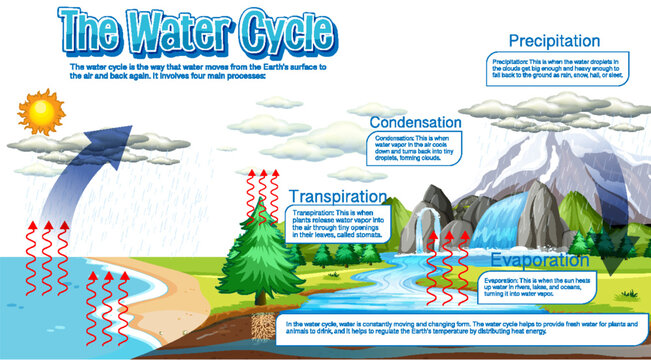 The water cycle diagram for science education